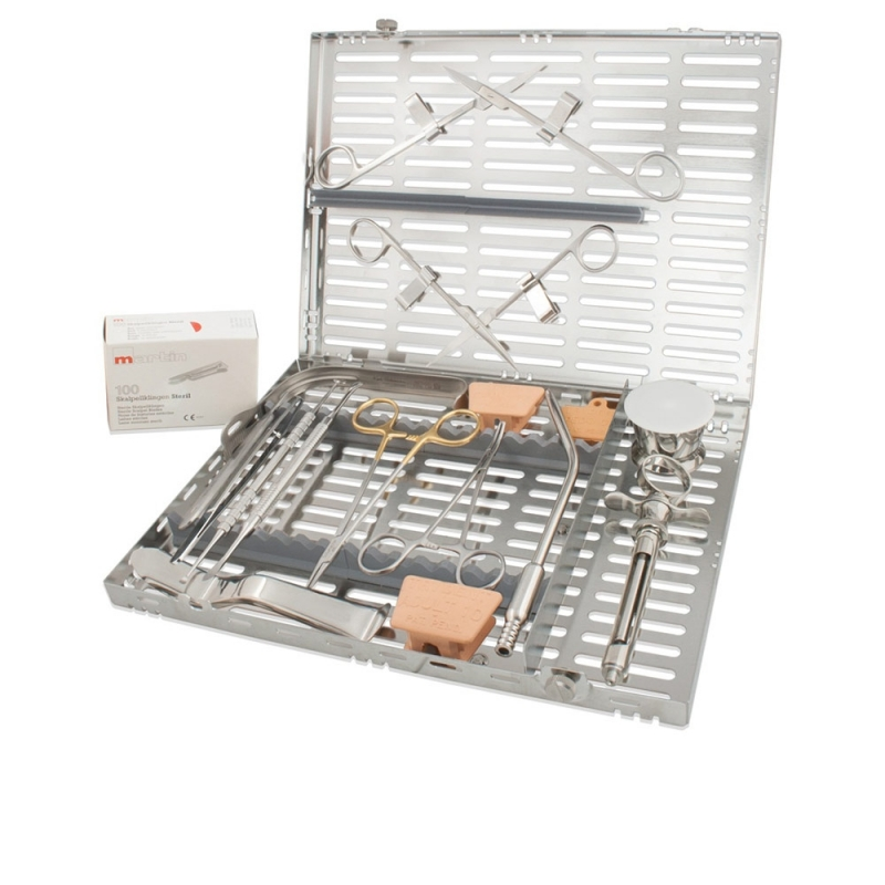 Wholesale Dental Sets & Kits Bulk Production for Clinics & Hospitals